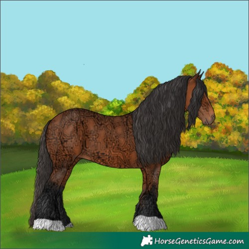 Horse Color:Bay Ice 