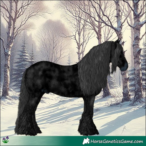 Horse Color:Black Ice 