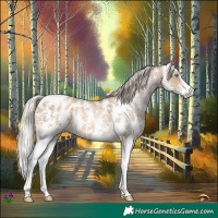 Horse Color:Chocolate Palomino Pearl Sabino Blanket 
