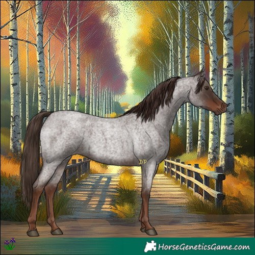 Horse Color:Liver Red Roan 