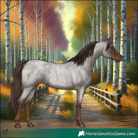 Horse Color:Liver Red Roan