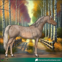 Horse Color:Chocolate Palomino Roan 