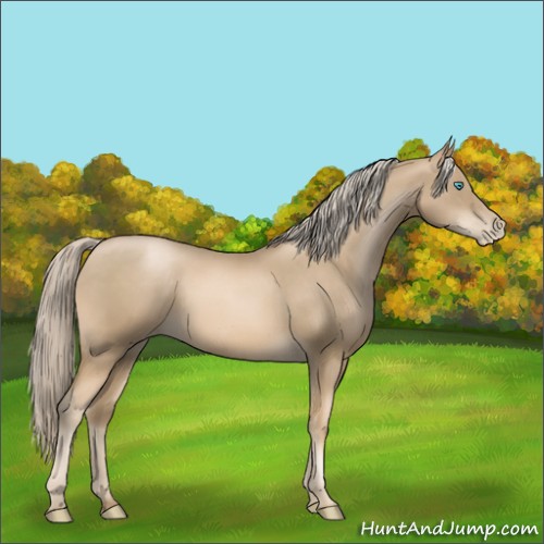 Horse Color:Chocolate Palomino Pearl 
