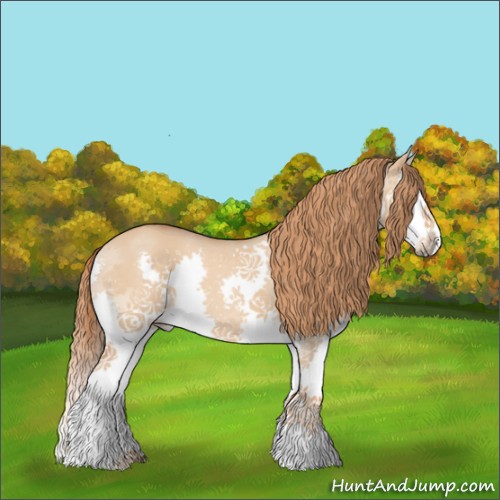Horse Color:Red Dun Splash 