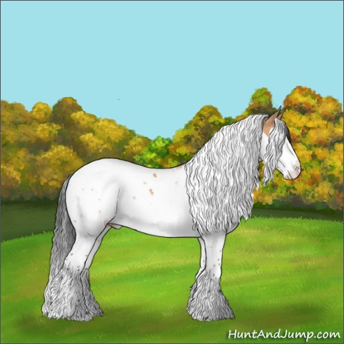 Horse Color:Bay Dun Splash Tobiano 