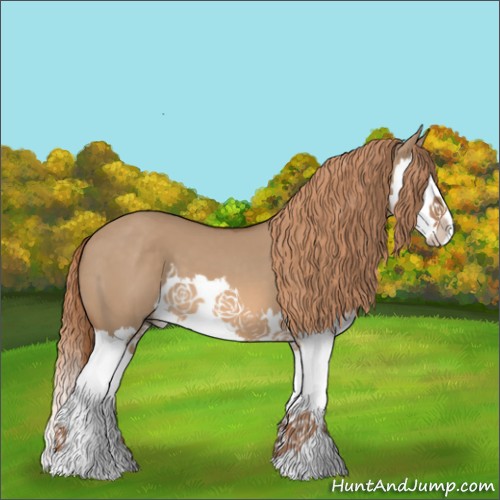 Horse Color:Red Dun Splash 
