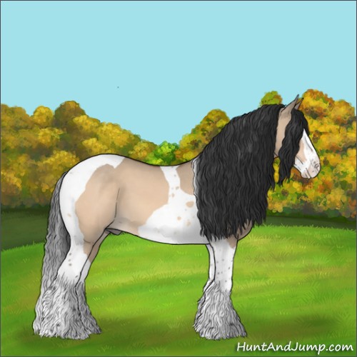 Horse Color:Bay Dun Splash Tobiano 