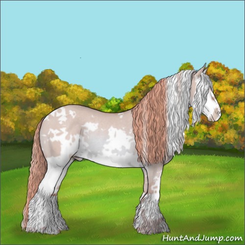 Horse Color:Watercolor White Spotted Red Dun Splash Rabicano 