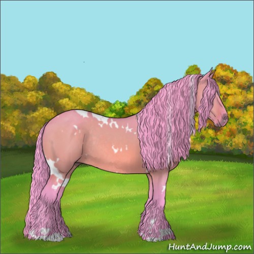 Horse Color:Watercolor White Spotted Bay Dun Rabicano 