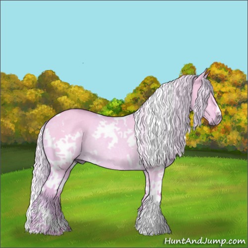Horse Color:Watercolor White Spotted Palomino Dun Rabicano 