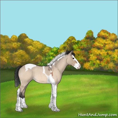 Horse Color:Brown Roan Dun Splash Tobiano Rabicano 