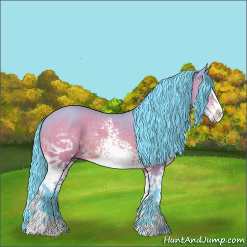 Horse Color:Watercolor White Spotted Bay Dun Sabino Rabicano 