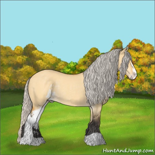 Horse Color:Silver Buckskin Dun Sabino Rabicano 