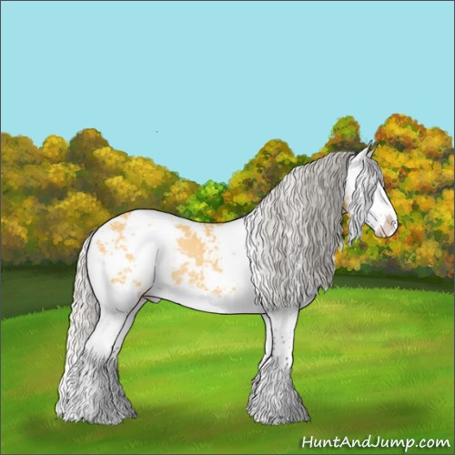 Horse Color:Silver Buckskin Dun Sabino Splash Rabicano 