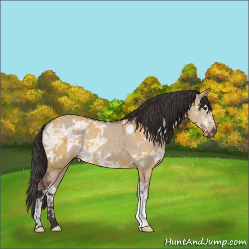 Horse Color:Buckskin Ice Dun  and Bay Ice Dun 