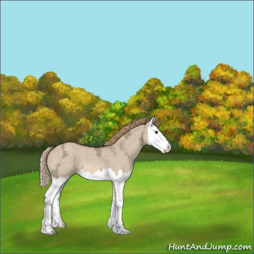 Horse Color:Red Dun Ice Splash 