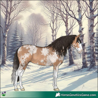 Horse Color:Bay Ice Dun Splash Rabicano