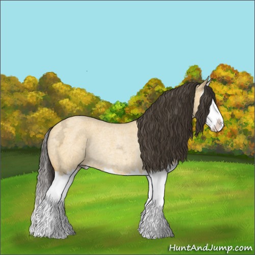 Horse Color:Buckskin Ice Roan Dun Splash Rabicano 