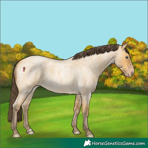 Horse Color:Amber Cream Champagne Roan