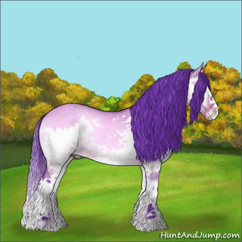 Horse Color:Watercolor White Spotted Bay Onyx Splash Rabicano 