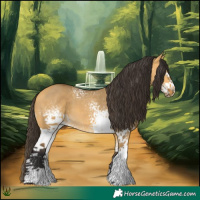 Horse Color:White Spotted Buckskin Dun 