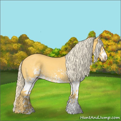 Horse Color:White Spotted Palomino 