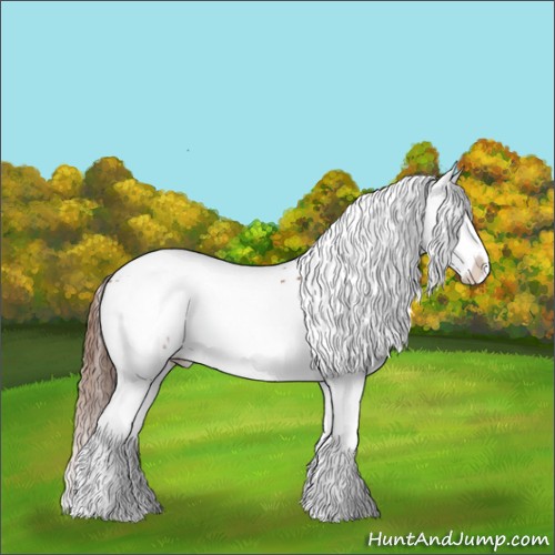 Horse Color:White Spotted Chestnut Splash Rabicano 