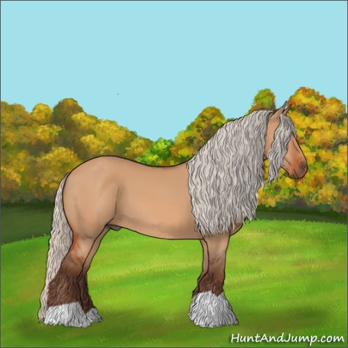 Horse Color:Silver Bay Dun 
