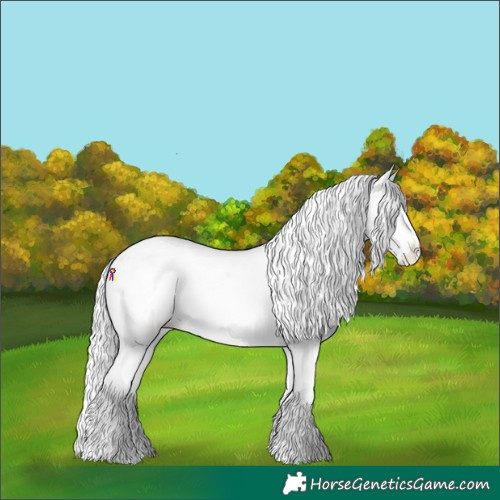 Horse Color:Silver Perlino Chinchilla Roan Dun Near Fewspot 