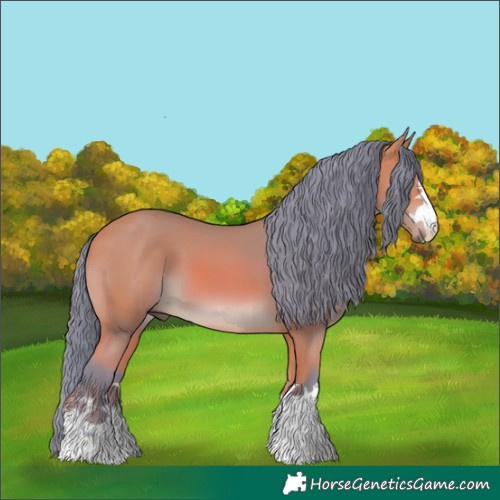 Horse Color:Watercolor Bay 