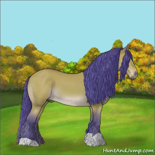 Horse Color:Watercolor Bay 