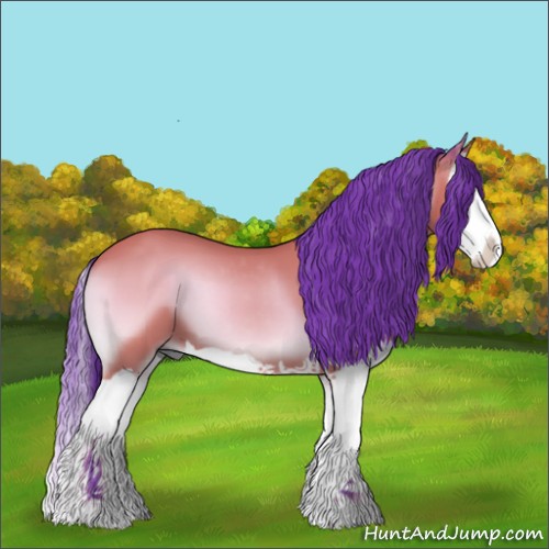 Horse Color:Watercolor Bay Onyx Splash 
