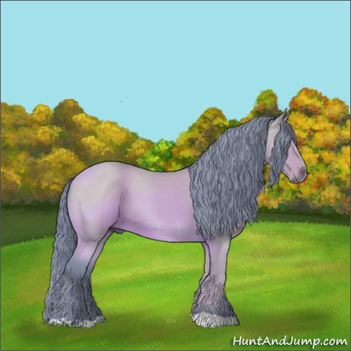 Horse Color:Watercolor Bay 