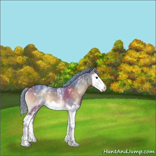 Horse Color:Watercolor White Spotted Bay Onyx Splash 