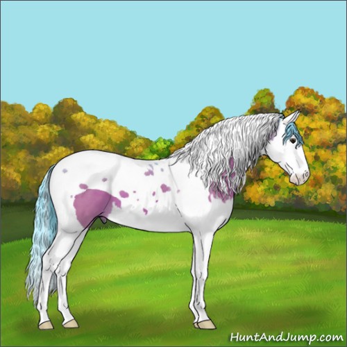 Horse Color:Watercolor Brown Splash Tobiano 