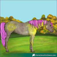Horse Color:Painted Silver Black