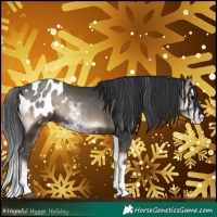 Horse Color:Blue Onyx Sabino Splash Appaloosa