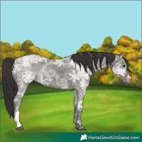 Horse Color:Smoky Grullo Ice Sabino