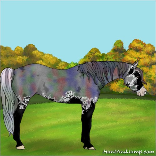 Horse Color:Nacre Black Ice Splash