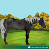 Horse Color:ERROR: UNKNOWN ANOMALY