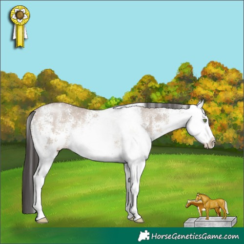 Horse Color:White Spotted Sable Champagne Dun Rabicano 