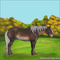 Horse Color:Silver Brown 