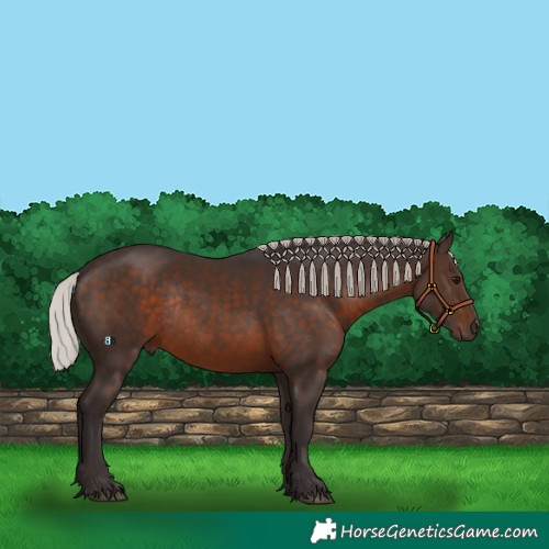 Horse Color:Silver Brown Rabicano 