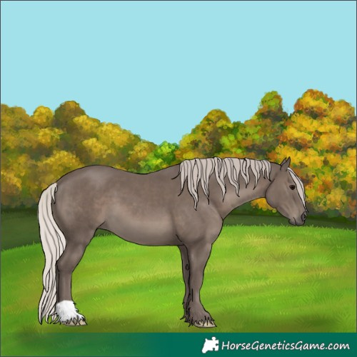 Horse Color:Silver Black 