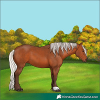 Horse Color:Silver Brown 