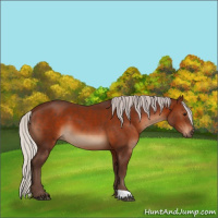 Horse Color:Silver Brown 