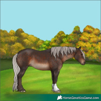 Horse Color:Silver Brown 