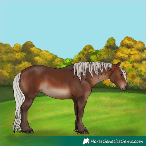 Horse Color:Silver Brown