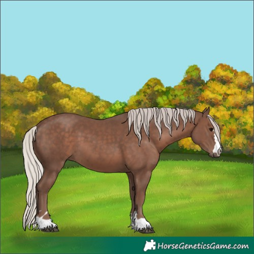 Horse Color:Silver Black 