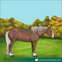 Horse Color:Silver Black 